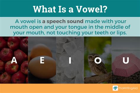 vowel 뜻: 언어의 숨결을 담은 소리의 여정